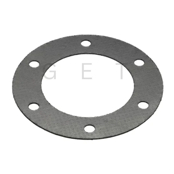 Flexible Graphite Gasket